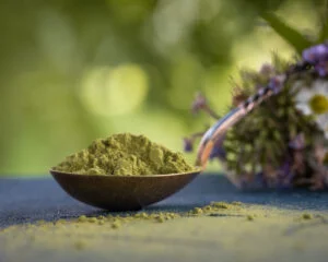 Organic matcha green tea powder from Japan