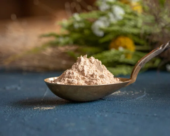 Organic lucuma powder