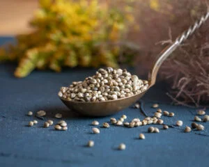 Organic hemp seeds RAW