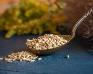 Organic RAW rolled oats